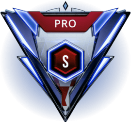 Poziom PRO