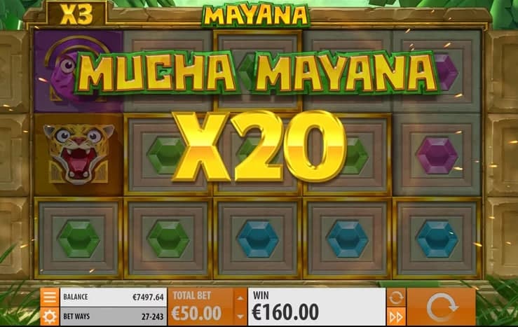 Mucha Mayana