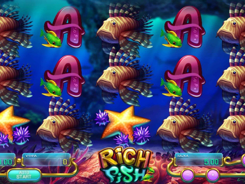 Rich Fish Rich Fish